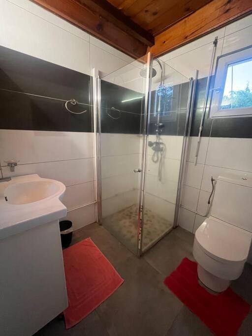 Apartmán Le Tournesol By Egl Immo Saint-Pierre Exteriér fotografie